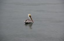 Zdjęcia ze styczniowego wyjazdu Meksyk i Belize 