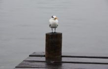 Zdjęcia ze styczniowego wyjazdu Meksyk i Belize 