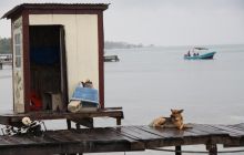 Zdjęcia ze styczniowego wyjazdu Meksyk i Belize 