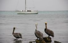 Zdjęcia ze styczniowego wyjazdu Meksyk i Belize 