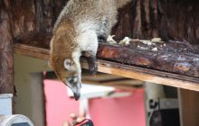 Zdjęcia ze styczniowego wyjazdu Meksyk i Belize 