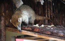 Zdjęcia ze styczniowego wyjazdu Meksyk i Belize 