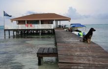 Zdjęcia ze styczniowego wyjazdu Meksyk i Belize 