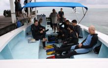 Zdjęcia ze styczniowego wyjazdu Meksyk i Belize 