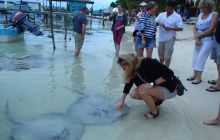 Zdjęcia ze styczniowego wyjazdu Meksyk i Belize 