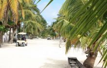 Zdjęcia ze styczniowego wyjazdu Meksyk i Belize 