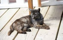 Zdjęcia ze styczniowego wyjazdu Meksyk i Belize 