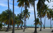 Zdjęcia ze styczniowego wyjazdu Meksyk i Belize 