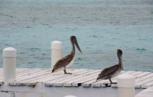 Zdjęcia ze styczniowego wyjazdu Meksyk i Belize 