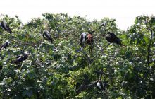 Zdjęcia ze styczniowego wyjazdu Meksyk i Belize 