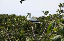 Zdjęcia ze styczniowego wyjazdu Meksyk i Belize 