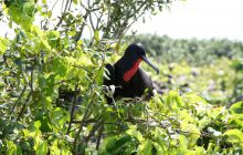 Zdjęcia ze styczniowego wyjazdu Meksyk i Belize 