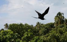 Zdjęcia ze styczniowego wyjazdu Meksyk i Belize 