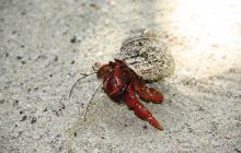 Zdjęcia ze styczniowego wyjazdu Meksyk i Belize 