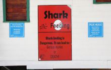 Zdjęcia ze styczniowego wyjazdu Meksyk i Belize 