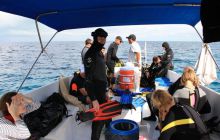 Zdjęcia ze styczniowego wyjazdu Meksyk i Belize 