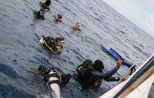 Zdjęcia ze styczniowego wyjazdu Meksyk i Belize 