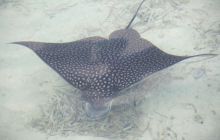 Zdjęcia ze styczniowego wyjazdu Meksyk i Belize 