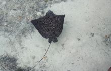 Zdjęcia ze styczniowego wyjazdu Meksyk i Belize 