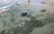 Zdjęcia ze styczniowego wyjazdu Meksyk i Belize 