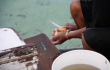 Zdjęcia ze styczniowego wyjazdu Meksyk i Belize 