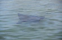 Zdjęcia ze styczniowego wyjazdu Meksyk i Belize 