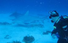 Zdjęcia ze styczniowego wyjazdu Meksyk i Belize 