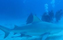 Zdjęcia ze styczniowego wyjazdu Meksyk i Belize 