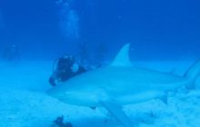 Zdjęcia ze styczniowego wyjazdu Meksyk i Belize 