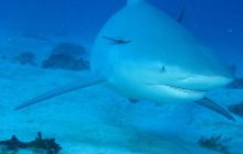 Zdjęcia ze styczniowego wyjazdu Meksyk i Belize 