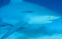 Zdjęcia ze styczniowego wyjazdu Meksyk i Belize 