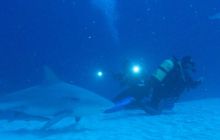 Zdjęcia ze styczniowego wyjazdu Meksyk i Belize 