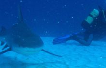 Zdjęcia ze styczniowego wyjazdu Meksyk i Belize 