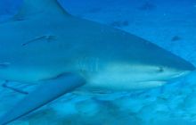 Zdjęcia ze styczniowego wyjazdu Meksyk i Belize 