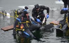 Zdjęcia z nurkowania podlodowego