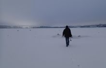 Zdjęcia z nurkowania podlodowego