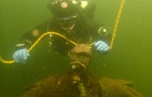 Zdjęcia z nurkowania podlodowego