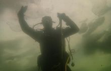 Zdjęcia z nurkowania podlodowego