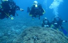 Zdjęcia z wyjazdu Dahab - marzec2013