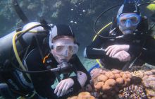 Zdjęcia z wyjazdu Dahab - marzec2013