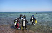 Zdjęcia z wyjazdu Dahab - marzec2013