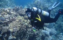 Zdjęcia z wyjazdu Dahab - marzec2013