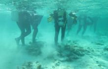 Zdjęcia z wyjazdu Dahab - marzec2013