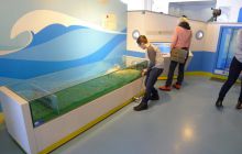 Zdjęcia z wycieczki do Centralnego Muzeum Morskiego