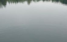 Majówka w okolicach Drezna