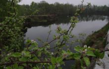 Majówka w okolicach Drezna