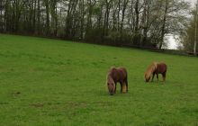 Majówka w okolicach Drezna