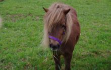 Majówka w okolicach Drezna