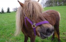 Majówka w okolicach Drezna