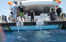 Zdjęcia z Safari Abu Fandera maj 2013